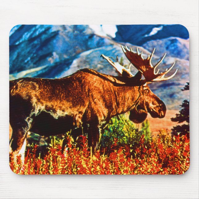 Vintage USA Alaska bull moose  Mouse Pad (Front)