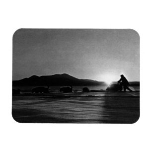 Vintage USA Alaska Midnight sun mushing 1970 Magnet
