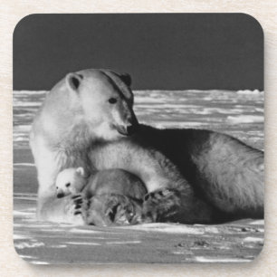 Vintage USA Alaska mother polar bear Coaster
