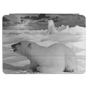 Vintage USA Alaska polar bear Case-Mate iPhone Cas iPad Air Cover