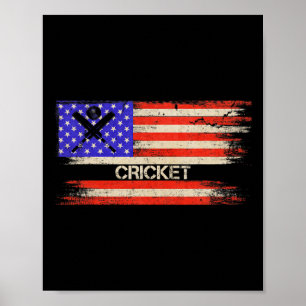 Vintage Usa American Flag Cricket Player Team Silh Poster