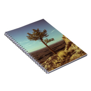 Vintage USA Landscape Notebook