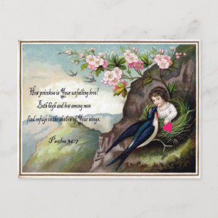 Vintage Valentine Postcard