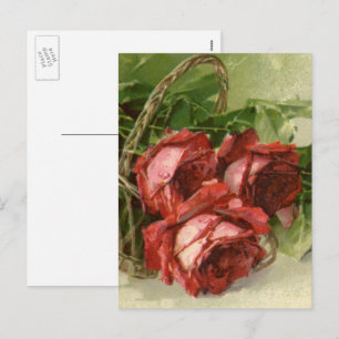 Vintage Valentine's Day, Crimson Red Roses Holiday Postcard