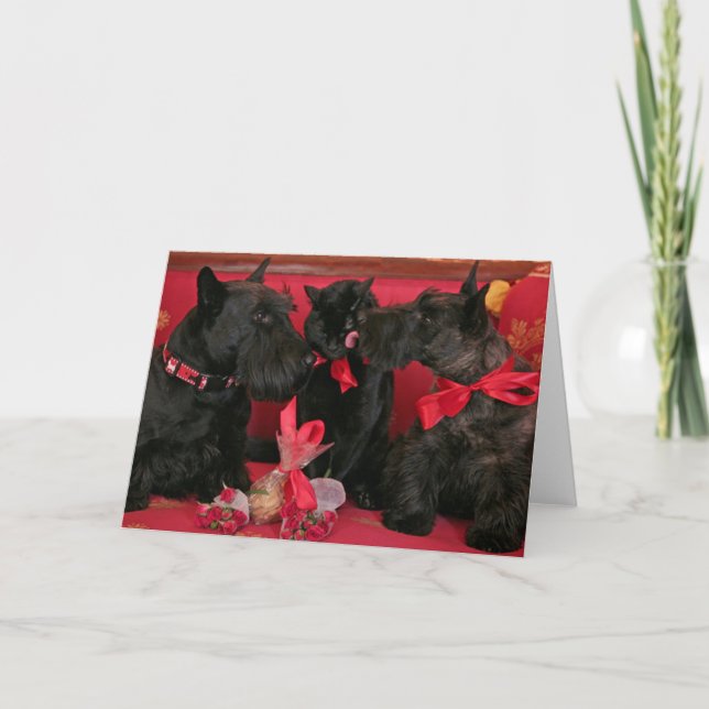 Vintage : Valentine's day - Holiday Card (Front)