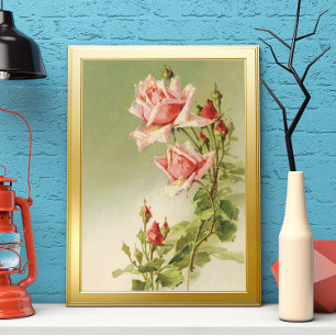 Vintage Valentine's Day Pink Victorian Garden Rose Poster