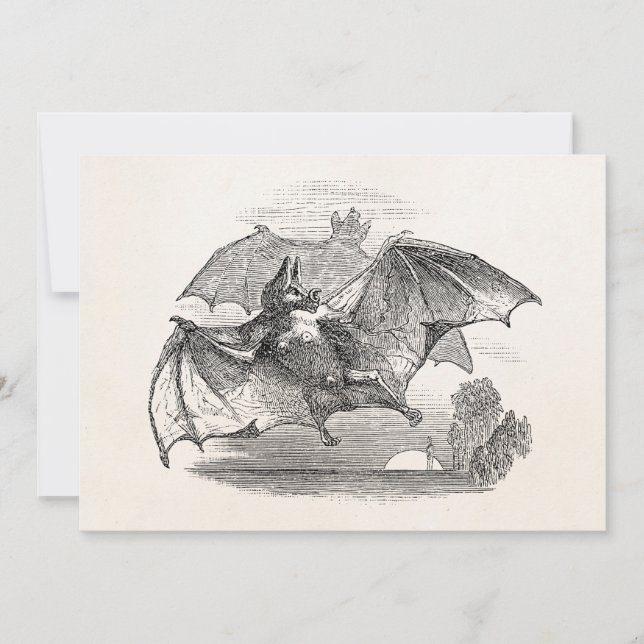 Vintage Vampire Bats Personalised Retro Bats (Front)