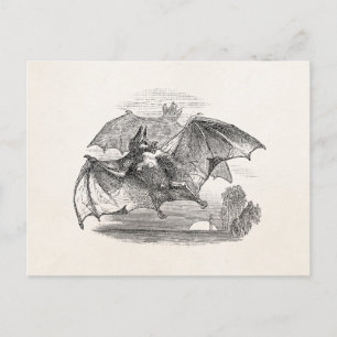 Vintage Vampire Bats Personalised Retro Bats Postcard