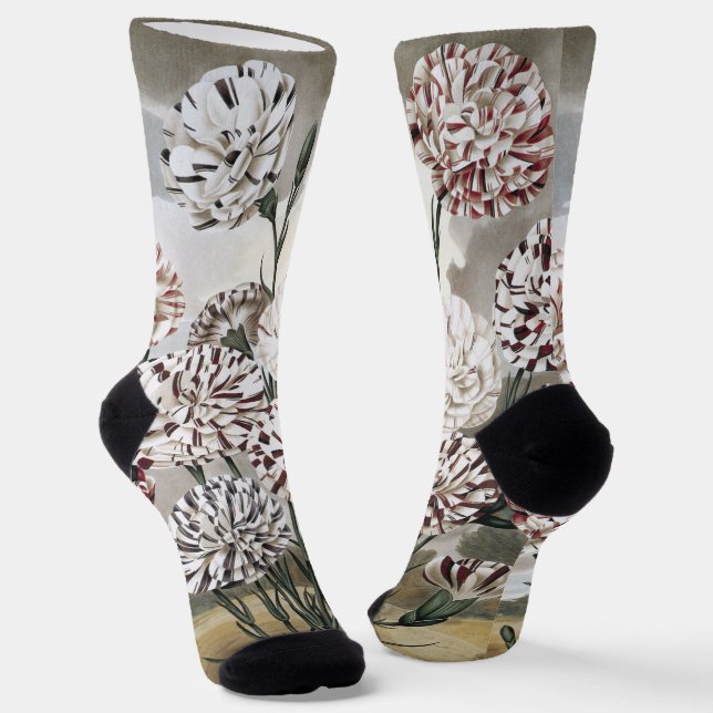 Vintage Variegated Carnation Flowers with Grey Sky Socks (Angled)