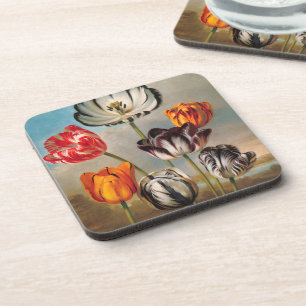 Vintage Variegated Tulip Flowers in a Landscape Coaster