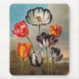 Vintage Variegated Tulip Flowers in a Landscape Mouse Pad