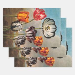 Vintage Variegated Tulip Flowers in a Landscape Wrapping Paper Sheet