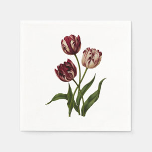 Vintage Variegated Tulips Napkin