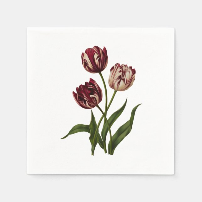 Vintage Variegated Tulips Napkin (Front)