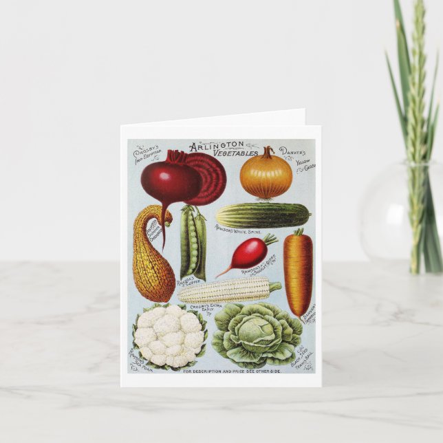 Vintage Vegetable Illustration Note Card (Front)