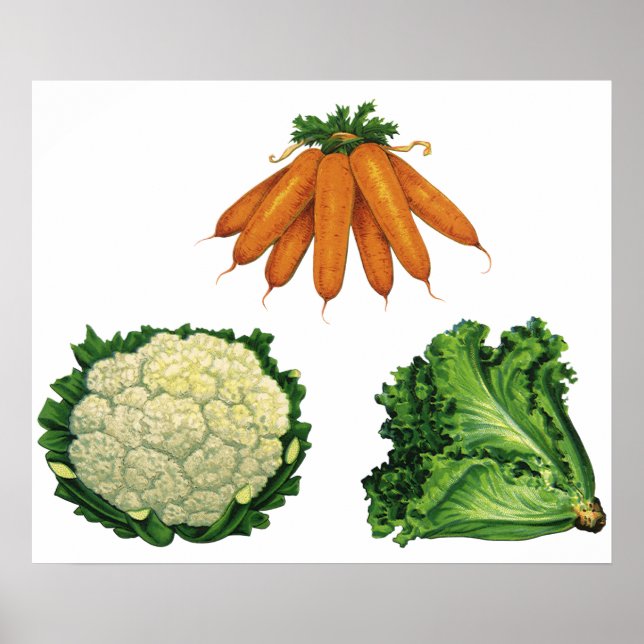 Vintage Vegetables; Carrots, Cauliflower, Lettuce Poster (Front)