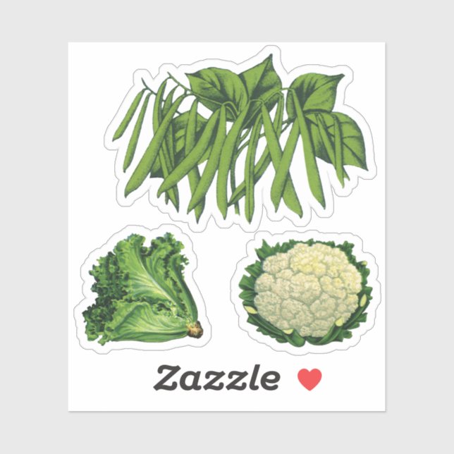 Vintage Vegetables Green Beans Lettuce Cauliflower (Sheet)