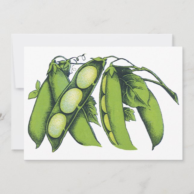 Vintage Vegetables; Lima Beans, Organic Farm Foods (Front)