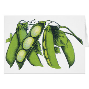 Vintage Vegetables; Lima Beans, Organic Farm Foods