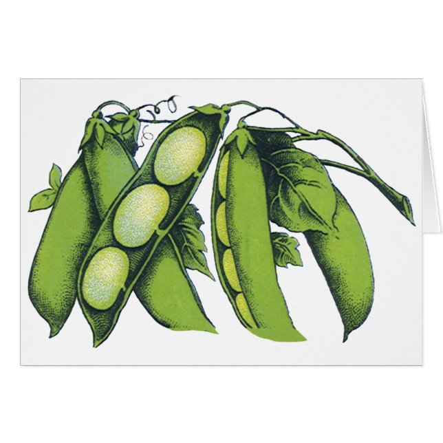 Vintage Vegetables; Lima Beans, Organic Farm Foods (Front Horizontal)