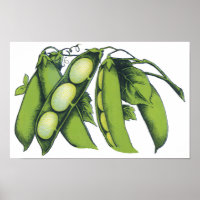 Vintage Vegetables; Lima Beans, Organic Farm Foods