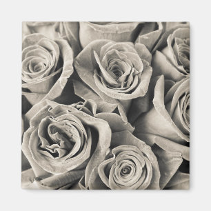 Vintage Velvet Beauty Magnet