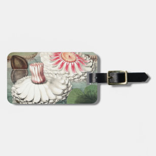 Vintage Victoria Regia Water Lily Art Print Luggage Tag
