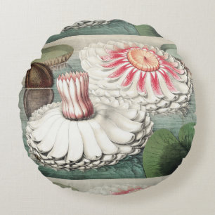 Vintage Victoria Regia Water Lily Art Print Round Cushion
