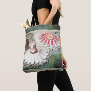 Vintage Victoria Regia Water Lily Art Print Tote Bag