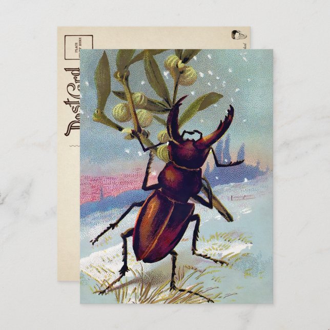Vintage Victorian Bug Christmas Postcard (Front/Back)