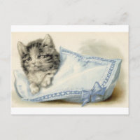 Vintage Victorian Cat Kitten