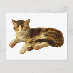Vintage Victorian Cat Nap Illustration Art Postcard