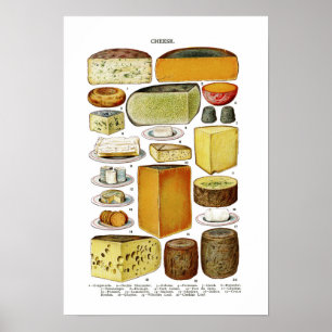 Vintage Victorian Cheese Varieties Illustration Poster