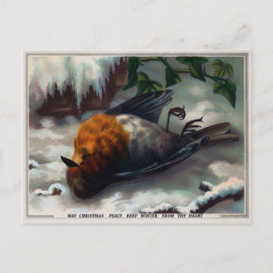 Vintage Victorian Dead Bird Christmas Postcard