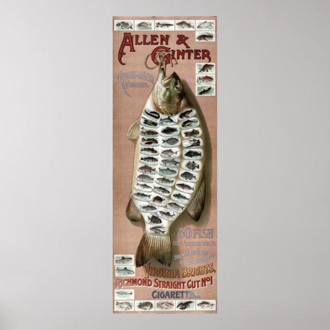 Vintage Victorian Era 50 Fish Poster (Front)