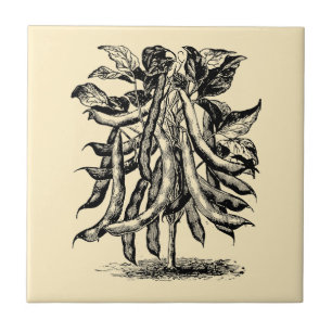 Vintage Victorian Era Fruit & Vegetable Bean Ad Ceramic Tile