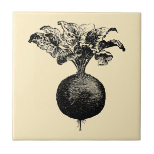Vintage Victorian Era Fruit & Vegetable Beets Ad Ceramic Tile