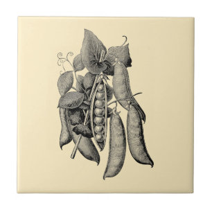 Vintage Victorian Era Fruit & Vegetable Peas Ad Ceramic Tile