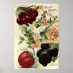 Vintage Victorian Era Reid's Seed Catalog Cover Poster