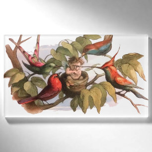 Vintage Victorian Fairy Art Richard Doyle Fairy Name Tag