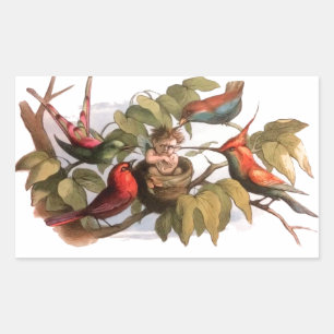 Vintage Victorian Fairy Art Richard Doyle Fairy Rectangular Sticker