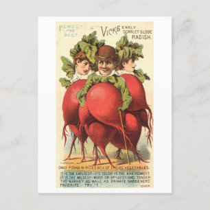 Vintage Victorian People with Radish Bodies Postcard