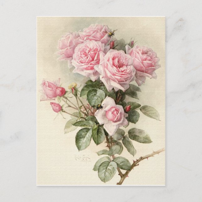 Vintage Victorian Romantic Roses Postcard (Front)