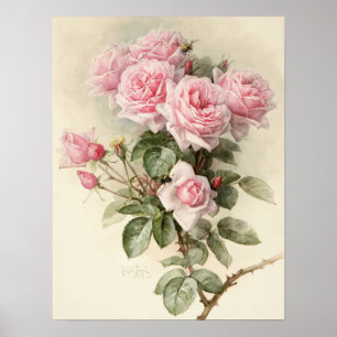 Vintage Victorian Romantic Roses Poster