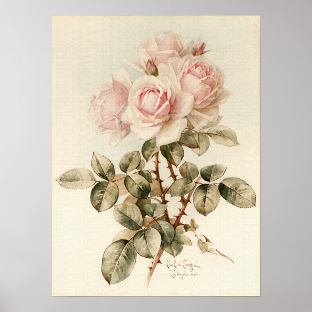 Vintage Victorian Romantic Roses Poster (Front)
