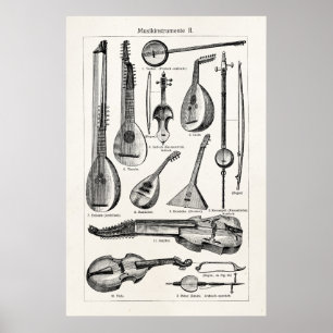 Vintage Violin Cello String Musical Instruments Poster