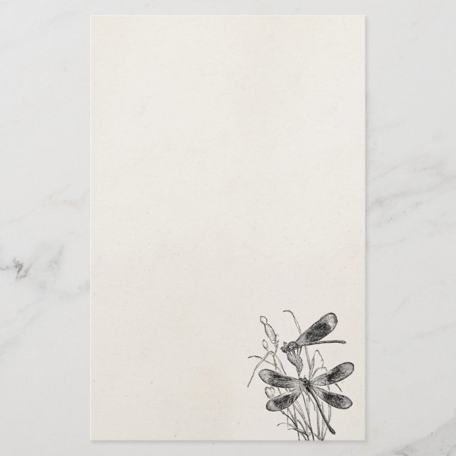 Vintage Virgin Dragonfly Personalised Template Stationery (Front)