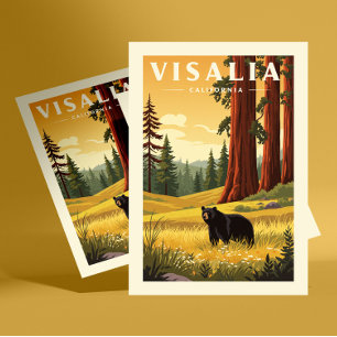Vintage Visalia California Postcard