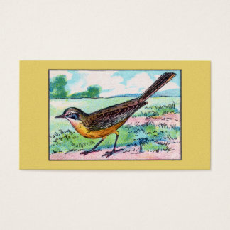 Vintage Wagtail Bird Print