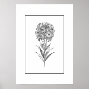 Vintage Wall flower etching print